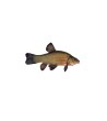 EKO Lynas, 350-1000g (≈2-3 vnt./kg) / reproduktoriai / LT-EKO-001