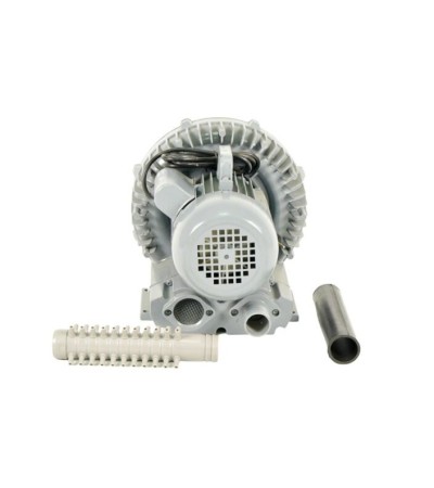 Orapūtė HAILEA VB 800G