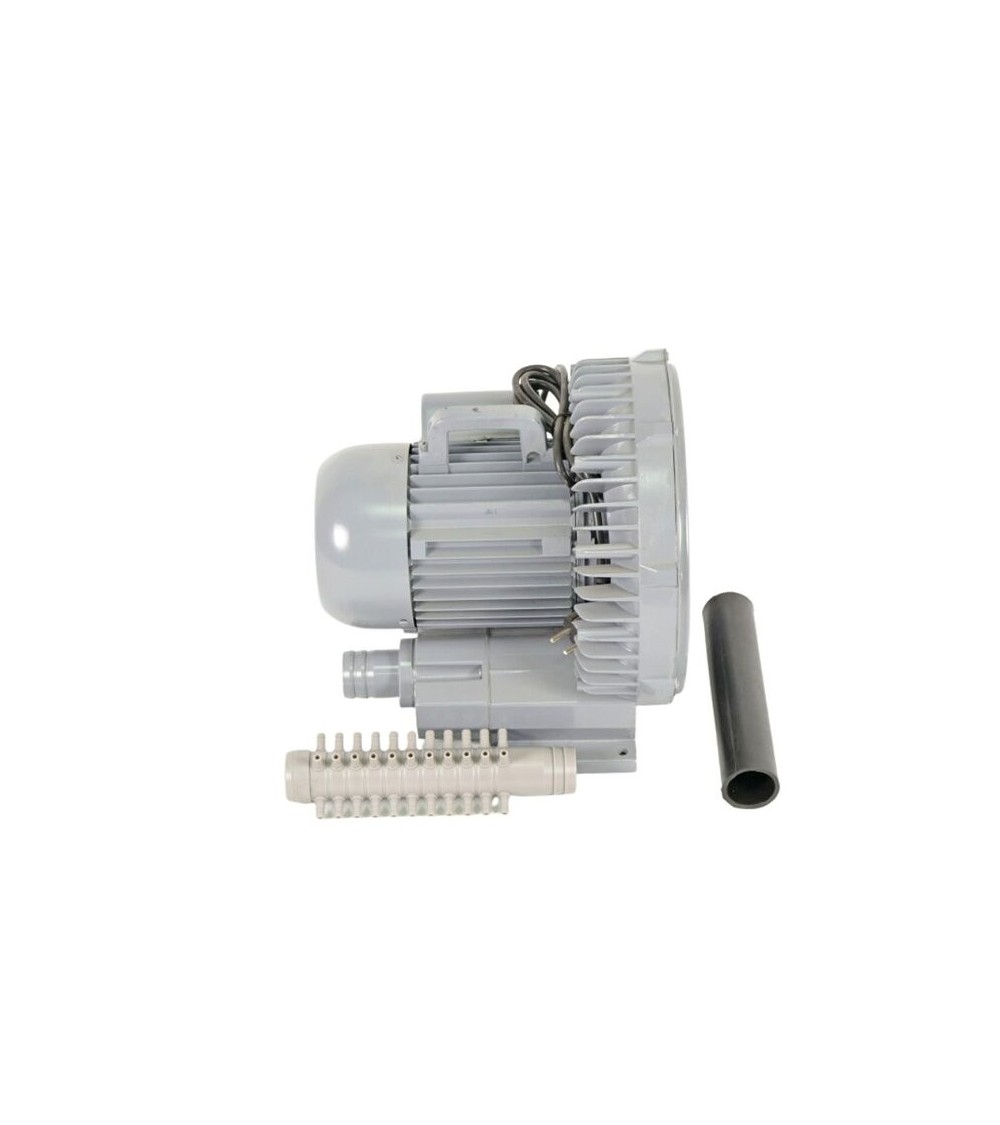 Orapūtė HAILEA VB 800G