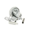 Orapūtė  HAILEA VB 1200G