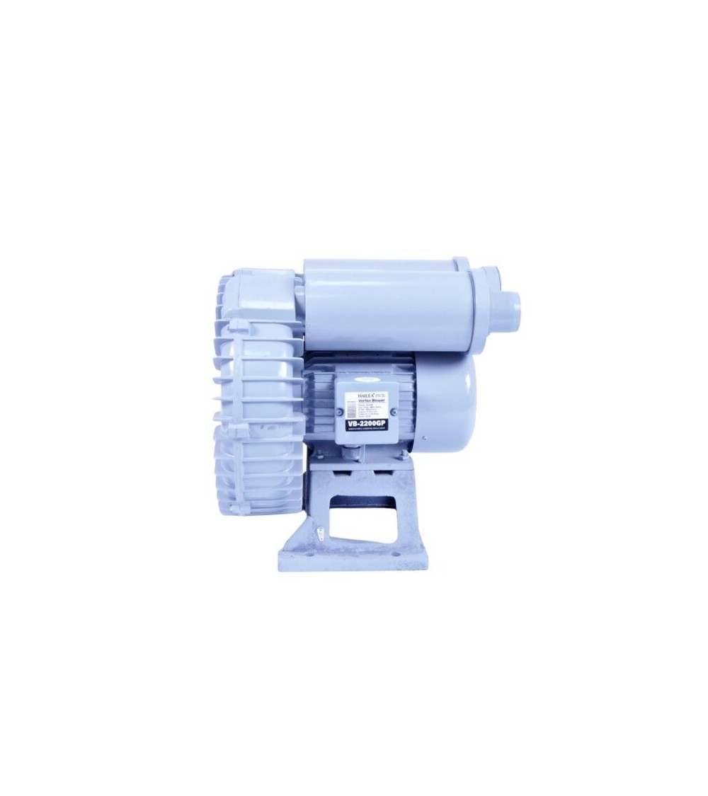 Orapūtė HAILEA VB 2200G