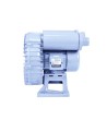 Orapūtė HAILEA VB 2200G
