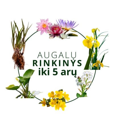 Augalų rinkinys tvenkiniui iki 5 arų