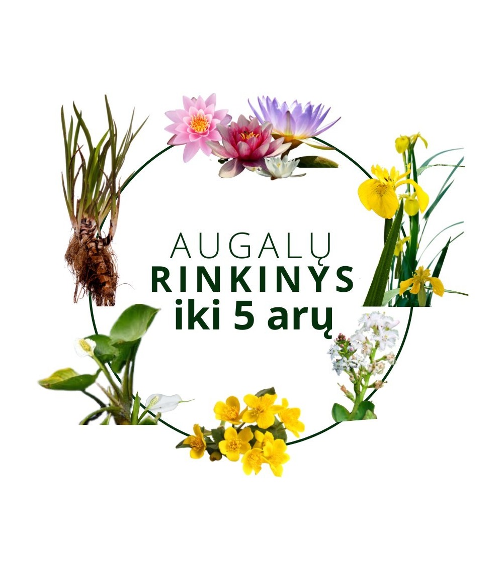 Augalų rinkinys tvenkiniui iki 5 arų