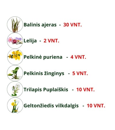 Augalų rinkinys tvenkiniui iki 5 arų
