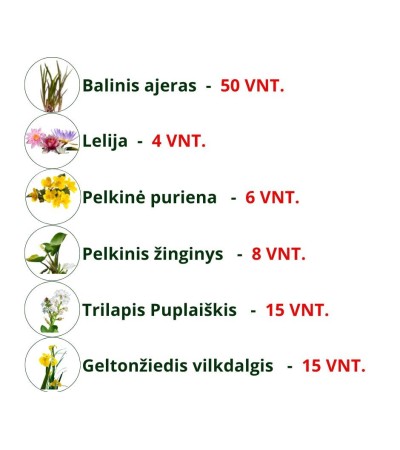 Augalų rinkinys tvenkiniui iki 10 arų
