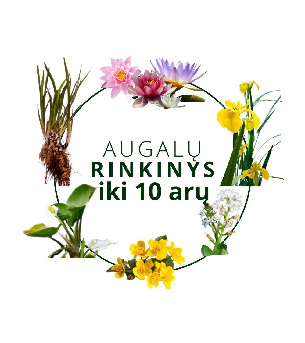 Augalų rinkinys tvenkiniui iki 10 arų