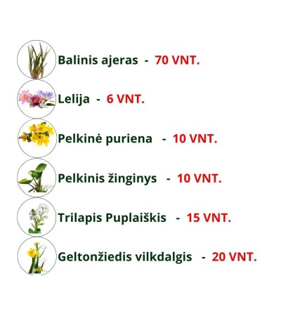Augalų rinkinys tvenkiniui iki 15 arų