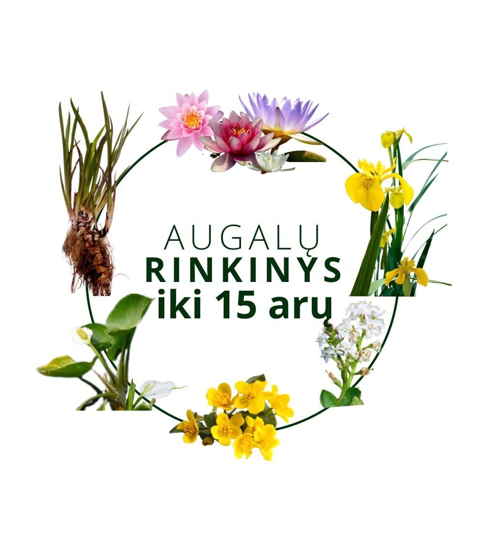 Augalų rinkinys tvenkiniui iki 15 arų