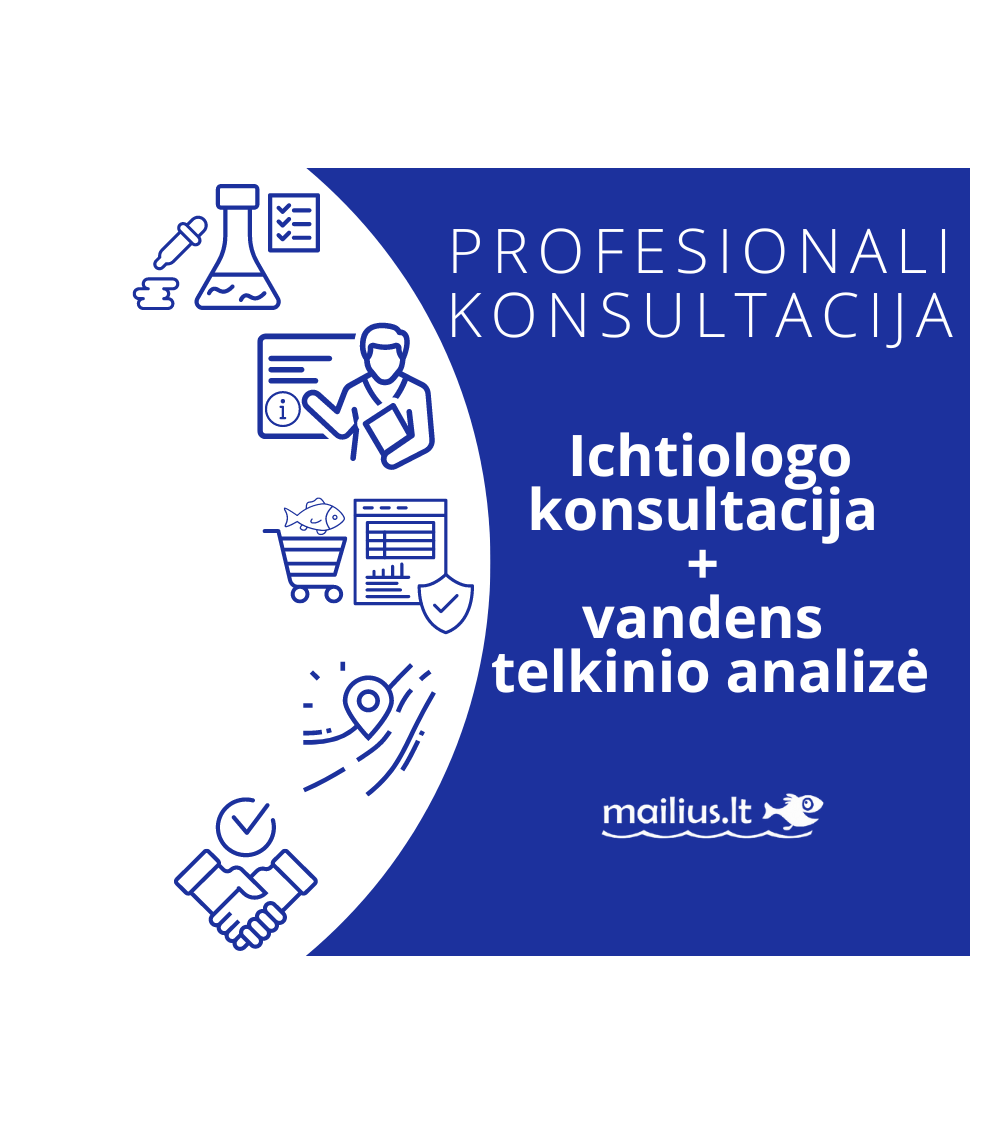 Profesionali specialisto konsultacija + vandens telkinio analizė