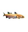 Orfa, 9-15 cm (≈15-30g) (auksinė) / įvairiaamžiai