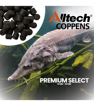 Eršketinis / Karpinis "Coppens Premium Select"