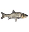 EKO Plačiakaktis, 200-300g (margasis), (≈3-5 vnt./kg) / dvimetis / LT-EKO-001