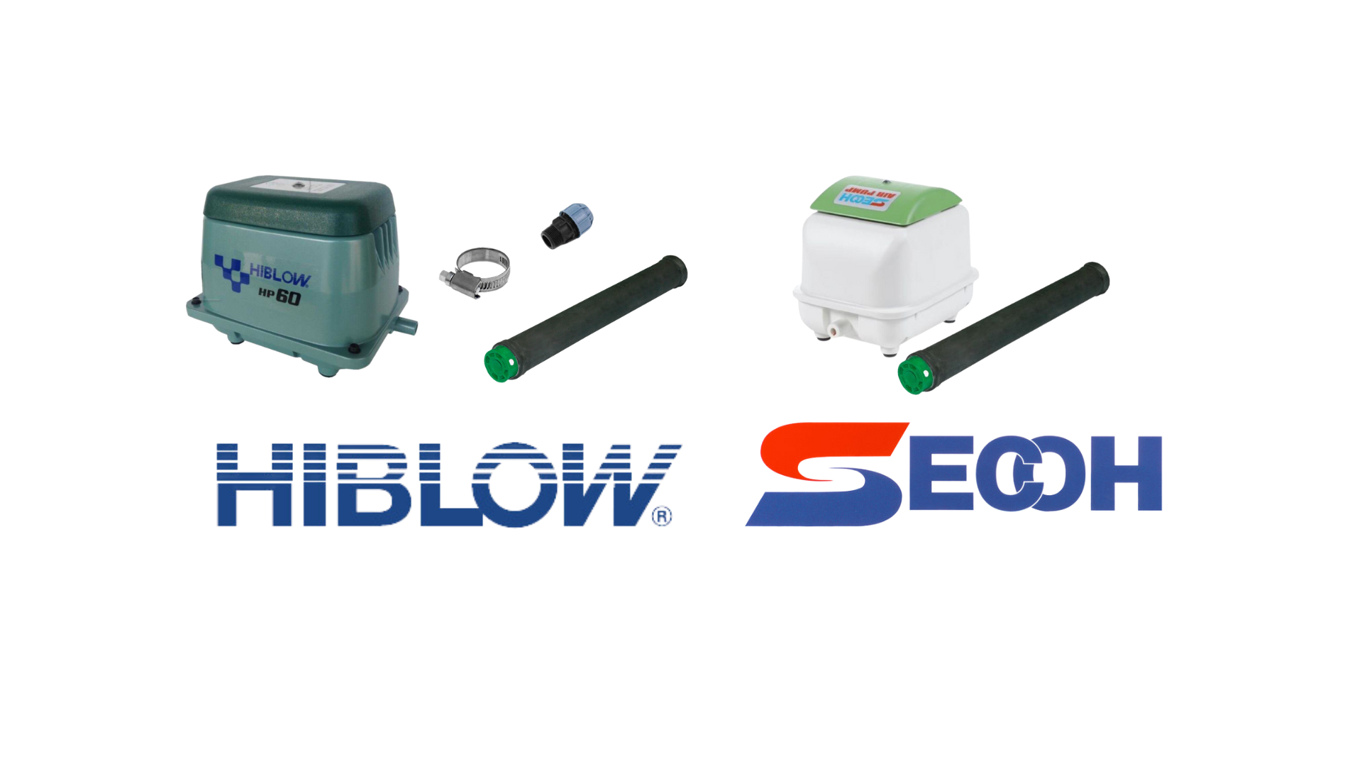 hiblow secoh orapūtės