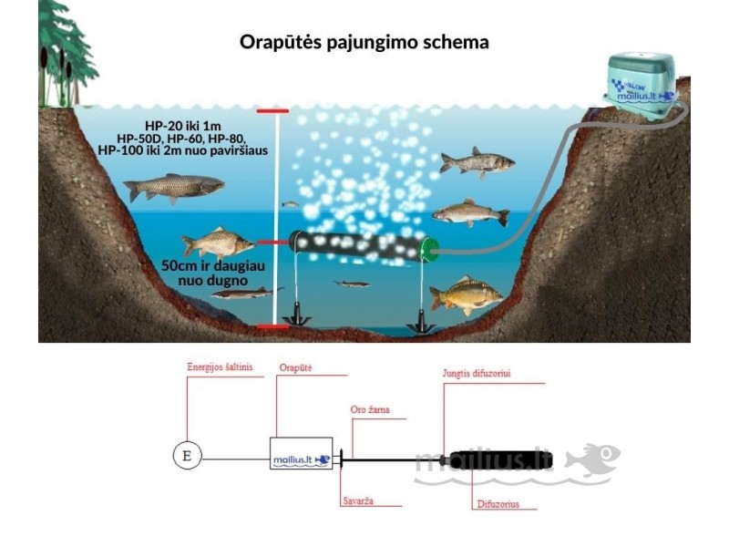 orapūtės pajungimo schema