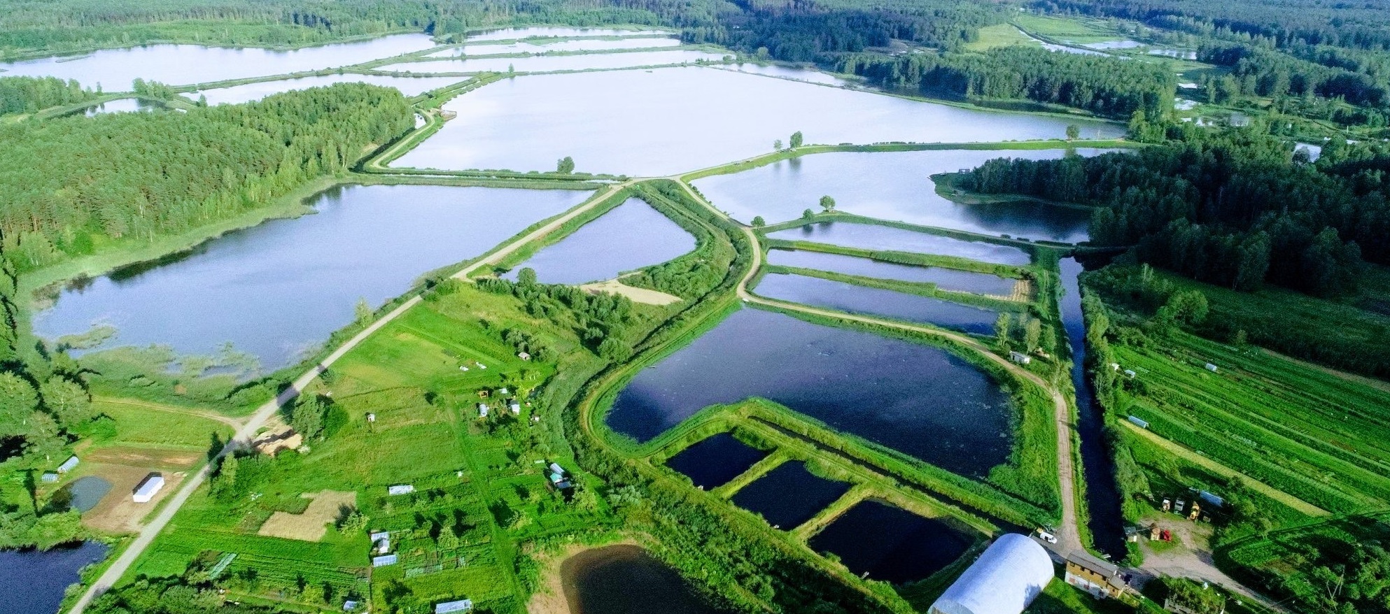 Arvydų žuvininkystės ūkio tvenkiniai