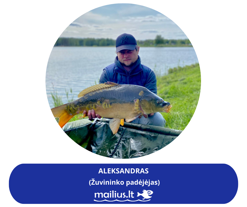 Aleksandras – žuvininko padėjėjas