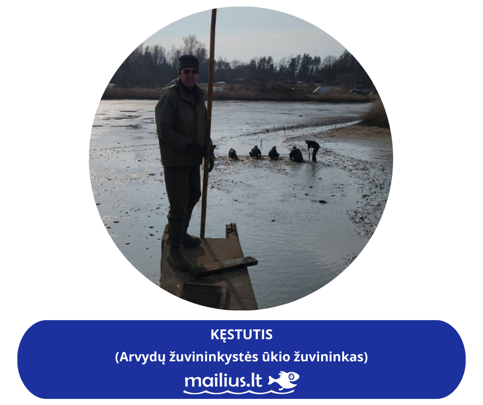 Kęstutis – Arvydų žuvininkystės ūkio žuvininkas