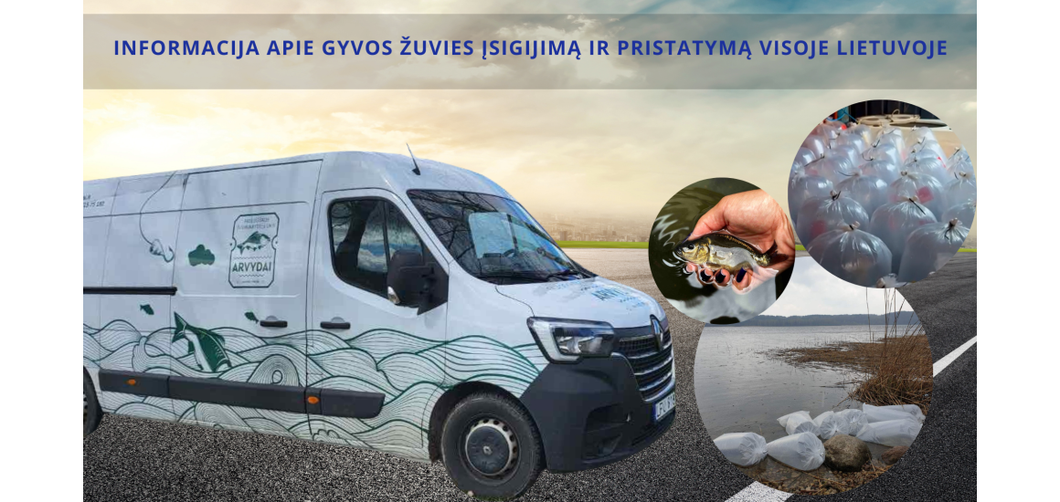 Informacija apie gyvos žuvies įsigijimą ir pristatymą visoje Lietuvoje , visi maršrutai + PRISTATYMO DATOS