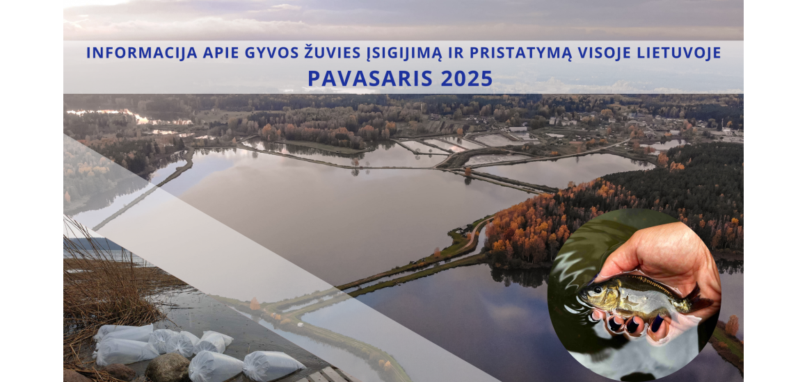 Informacija apie gyvos žuvies įsigijimą ir pristatymą visoje Lietuvoje , visi maršrutai + PRISTATYMO DATOS BALANDŽIO MĖNESĮ